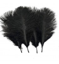  Ostrich Feathers 