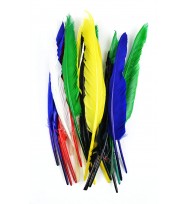 Touch of Nature 38182 25-Piece Indian Feather, 10 to 12-Inch, Assorted