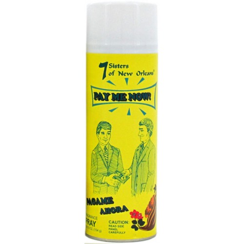 PAY ME NOW AEROSOL SPRAY 6.5 oz. (184g)