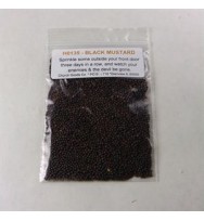 BLACK MUSTARD SEED